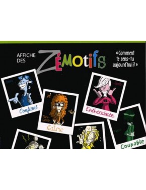 Affiche des zémotifs